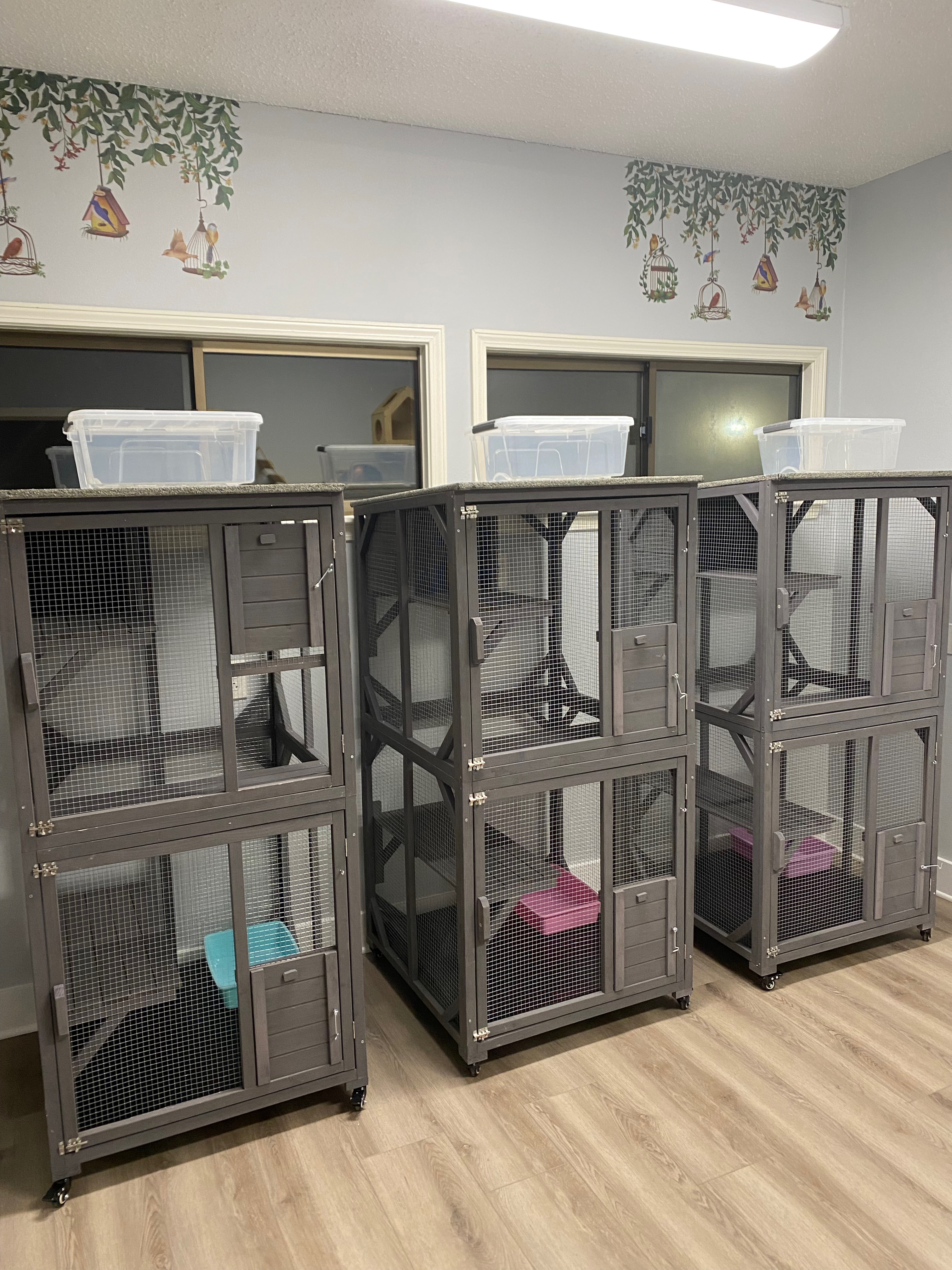 cat condos
